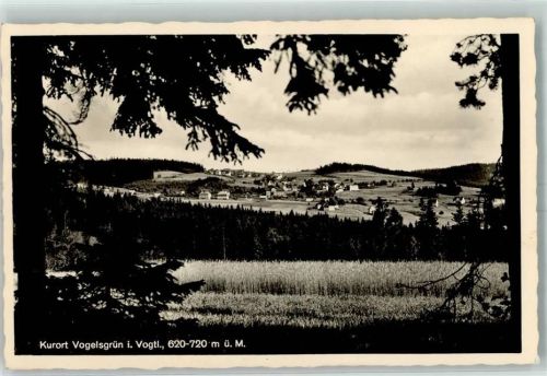 Vogelsgrün