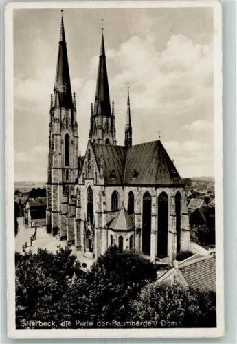 Billerbeck Baumbeerge Dom