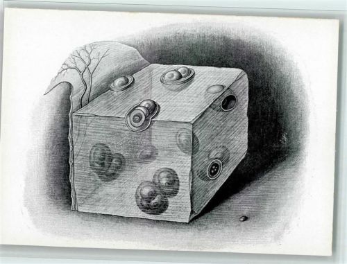 Bildgemeinschaft der Episkopfreunde - Stützgewebe des menschlichen Körpers Bild 4