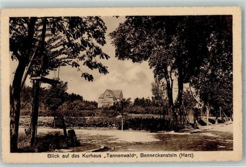 Benneckenstein Kurhaus Tannenwald