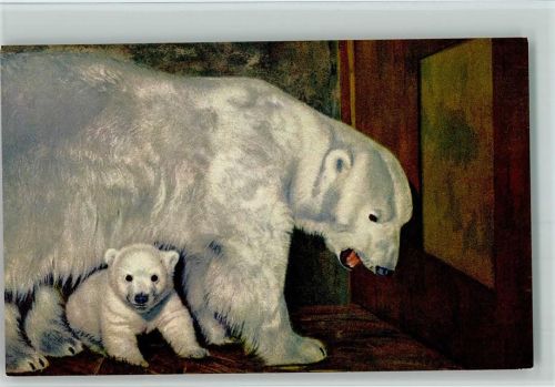 Eisbär mit einem Jungen Edition Stehli Nr. 49 AK