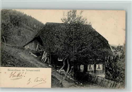 1907 Bauernhaus, gute Erhaltung