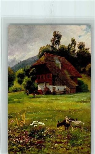 Verlag Edm. König 192, Schwarzwaldserie II Blatt 7, gute Erhaltung