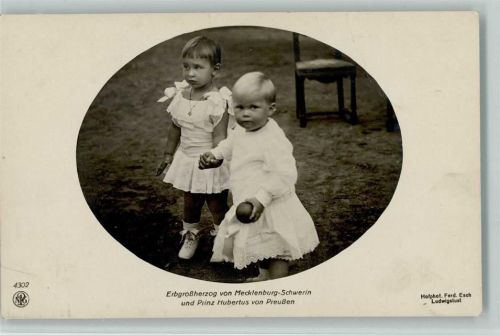 mit Erbgroßherzog von Mecklenburg-Schwerin - NPG 4302 - sehr gute Erhaltung AK Adel Prinz Hubertus 1911 Foto AK