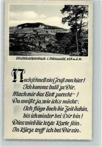 Waldkatzenbach 1959 Poesie Spruch AK
