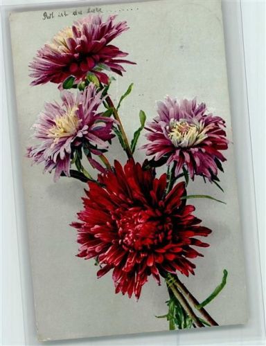 1917 Photochromie Serie 535 Nr. 1092 Blumen AK