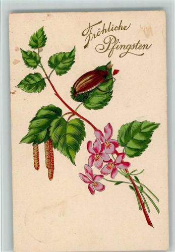 1907 Pfingsten - Maikäfer klettert auf einem Birkenblatt AK Kleine Flecken