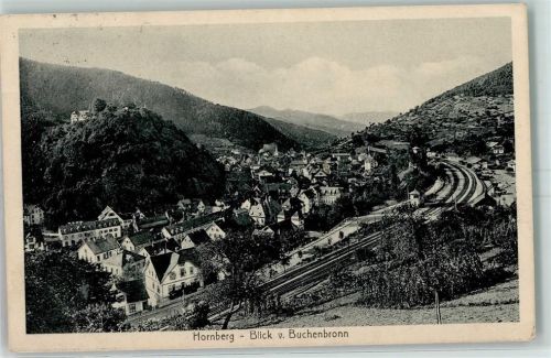 Hornberg Blick von Buchenbronn