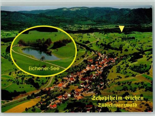 Eichen Eichinger See Luftaufnahme