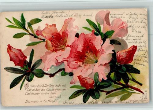 Blüten und Poesie Spruch AK Spruch 1905 Prägedruck