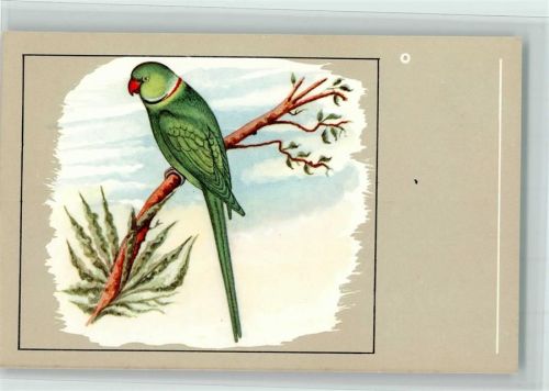 Halsbandsittich Verlag Sluis Birdfood , gute Erhaltung