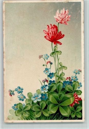 1907 und Kleeblätter AK Flecken