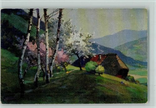 Verlag Elchlepp Nr. 8 - Frühling im Schwarzwald AK