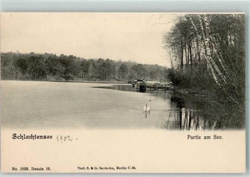 Schlachtensee 1902 See Boot Schwan