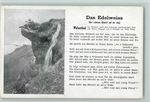 Verlag Robert Franke Nr. 62 - das Edelweiss AK