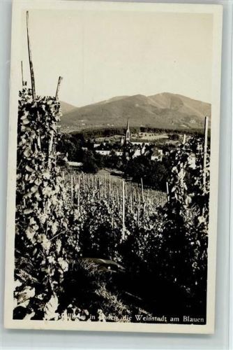 W7840 Müllheim , Baden Weinberge , ca 1935 gute Erhaltung AK Landwirtschaft Foto AK
