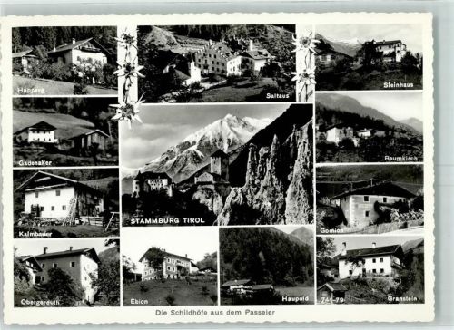 Graf Meran Haus Happerg Saltaus Steinhaus Baumkirch Gomion Granstein Haupold Ebion Obergereuth Kalmbauer Gadenaker Stammburg Tirol Hüttenstempel Edelweiß