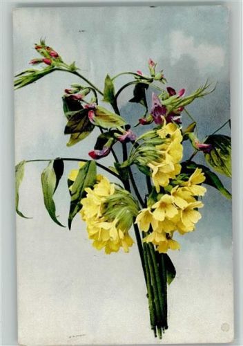 1911 Blumenk. Serie U. 631, gute Erhaltung AK