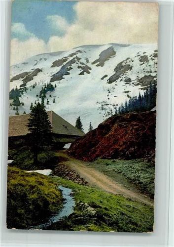 Feldberg Serie 166 Nr. 2972 - Schwarzwald, gute Erhaltung AK