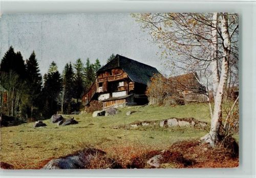 Verlag FPHG Nr. 2502 Serie 28 AK Schwarzwaldhaus 1926