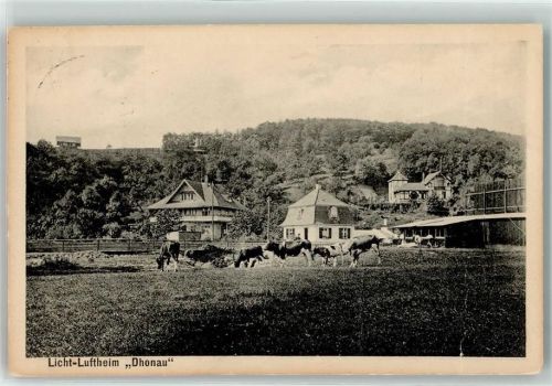 Sobernheim 1917 Rinderweide Licht-Luftheim Dhonau