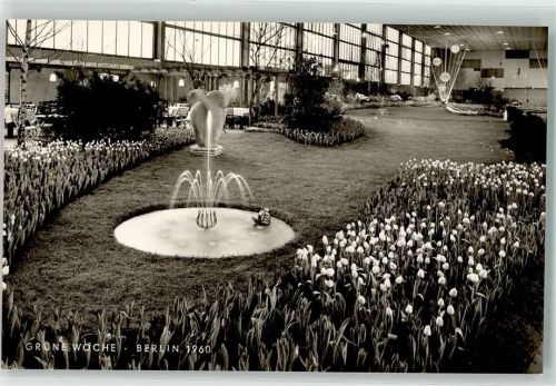 Charlottenburg 1960 Grüne Woche 1960 Gartenbau Springbrunnen Tulpen