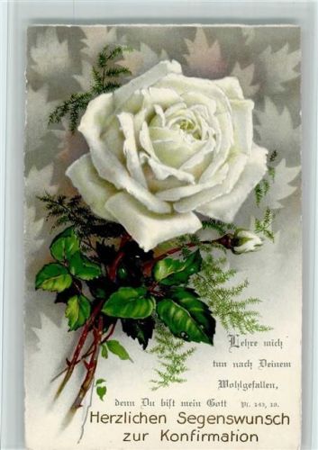 Segenswunsch, Psalm Spruch und weiße Rose AK