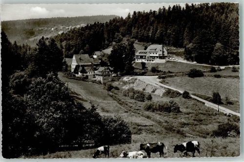 Schömberg Blick ins Kapfenhardter Tal mit oberer Mühle Kühe