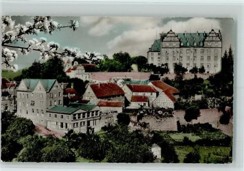 Lichtenberg Baumblüte