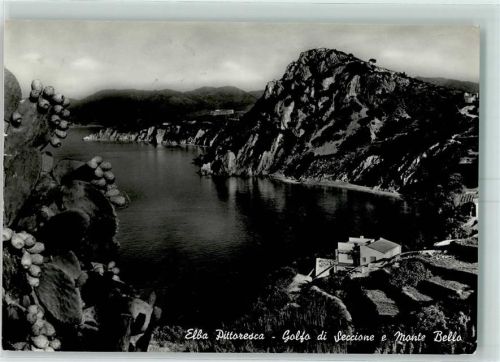 Portoferraio Elba Pittoresca Golfo di Seccione e Monte Bello Feifenkaktus