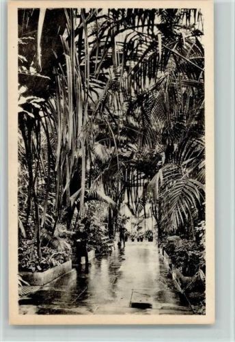 Nr. 42 Royal Botanic Gardens , Palm House , gute Erhaltung