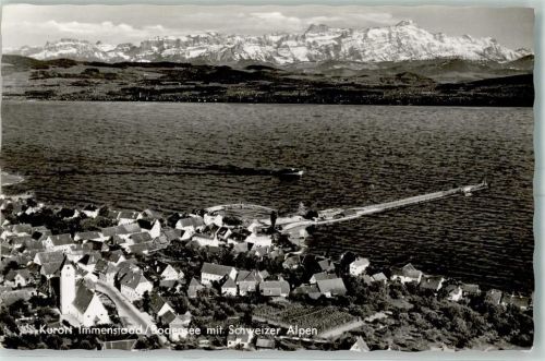 Immenstaad Fliegeraufnahme Landungssteg