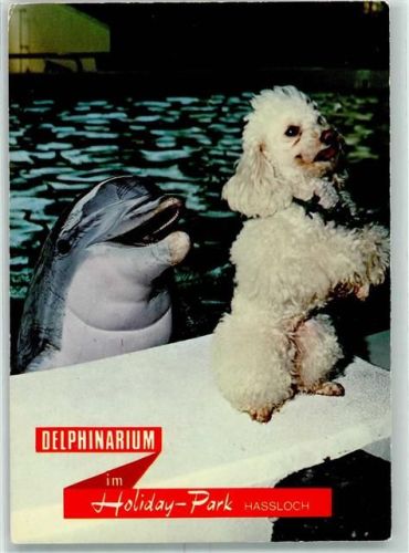 Haßloch Holyday-Park Delphinarium Delphin u.Pudel