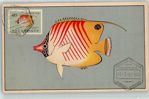 Chaetodon Auriga Forskal Coral Fish da Serie de Peixes de Mosamik