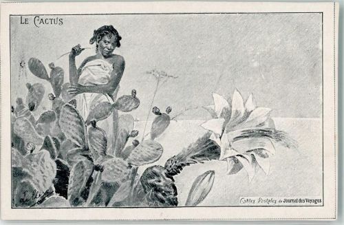 1900 Le Cactus Künstlerkarte
