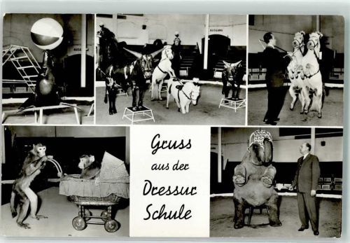Stellingen Dressurschule Affen Pony Elefant Zirkus