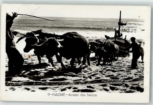 Nazare Arrasto dos barcos Fischerboot
