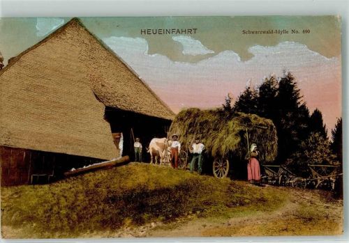 1907 Heueinfahrt Schwarzwald Idylle Nr. 690