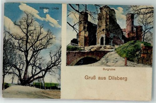 Dilsberg 1924 Burg