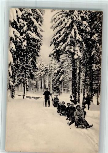 Rodelpartie ca 1912 AK