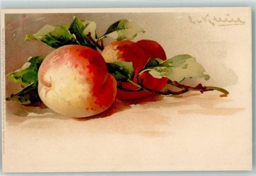 Stilleben Pfirsiche Meissner u. Buch Serie 1294 Was der Herbst bringt