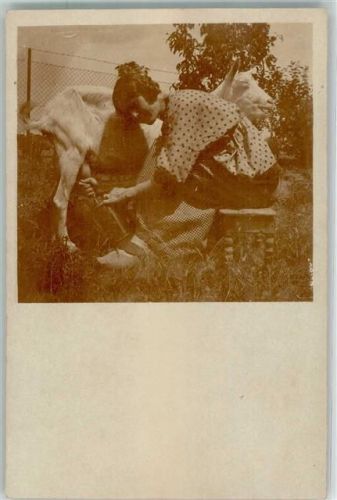 Frau beim Melken
