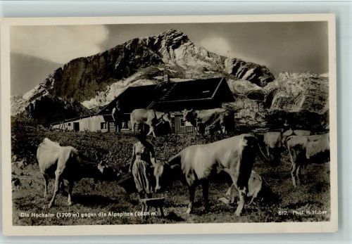 1932 Die Hochalm - Kühe - Heimatbilder Alpiner Kunstverlag Photo Huber Nr. 612 AK Gute Erhaltung