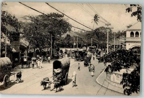 Colombo Straßenbahn Ochsenkarren Ort lt. Verlag