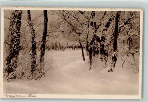 Norderney Georgsgarten im Winter