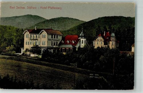 Bad Sachsa 1924 Hotel Pfaffenberg