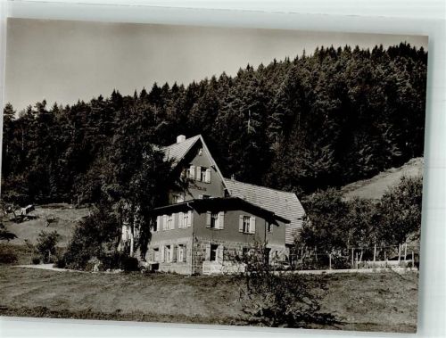 Baiersbronn Gasthaus Pension Sprunghügel