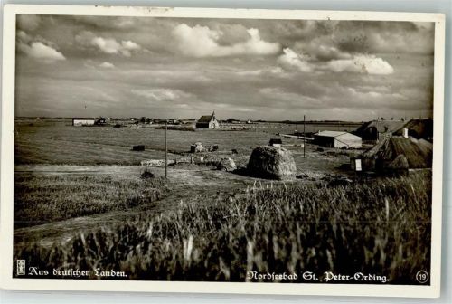 St. Peter-Ording Marschlandschaft vom Außendeich