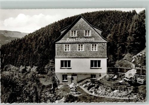 Schwalefeld Pension Haus Waldesruh Garten Liegewiese
