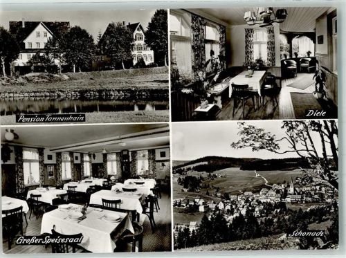 Schonach Pension Tannenheim Diele Gr. Speisesaal